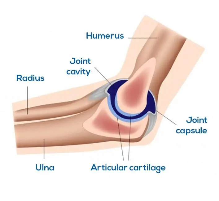Common Sports Injuries for Sports Injuries Treatment at Hunjan Hospital