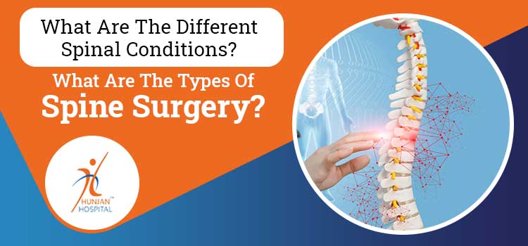 What are the different spinal conditions? What are the types of spine surgery?