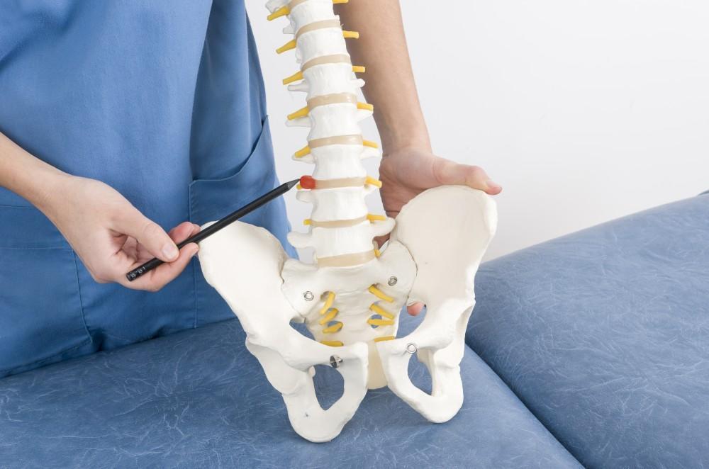 Degenerated disc and the herniated disc